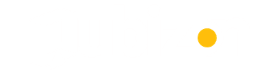 Qubizon Logo